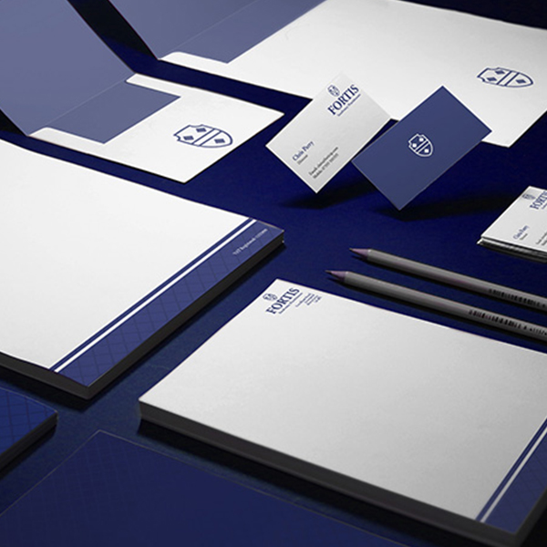 Fortis Insolvency Branding